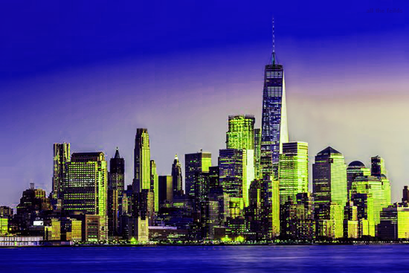 All The Feilds Top 5 Cities of the World