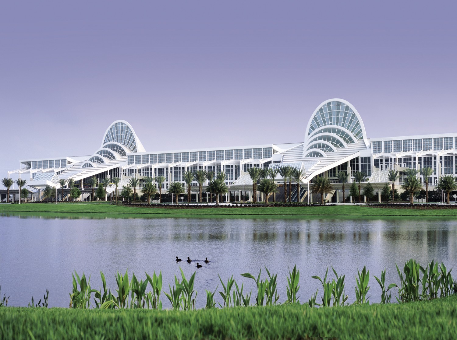 Orlando Was Considered for Next Celebration The Star Wars Underworld