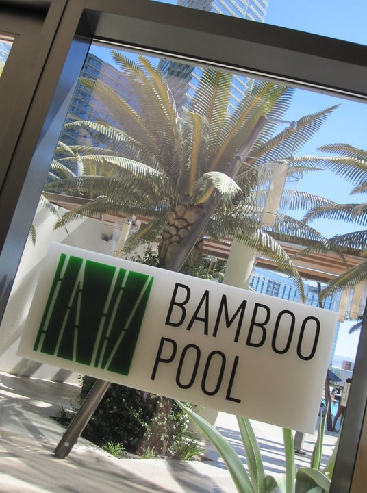 Eat, Drink, and Be Mary [Las Vegas] Bamboo Pool